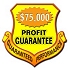 $75,000 Investor Web Site Profit Guarantee